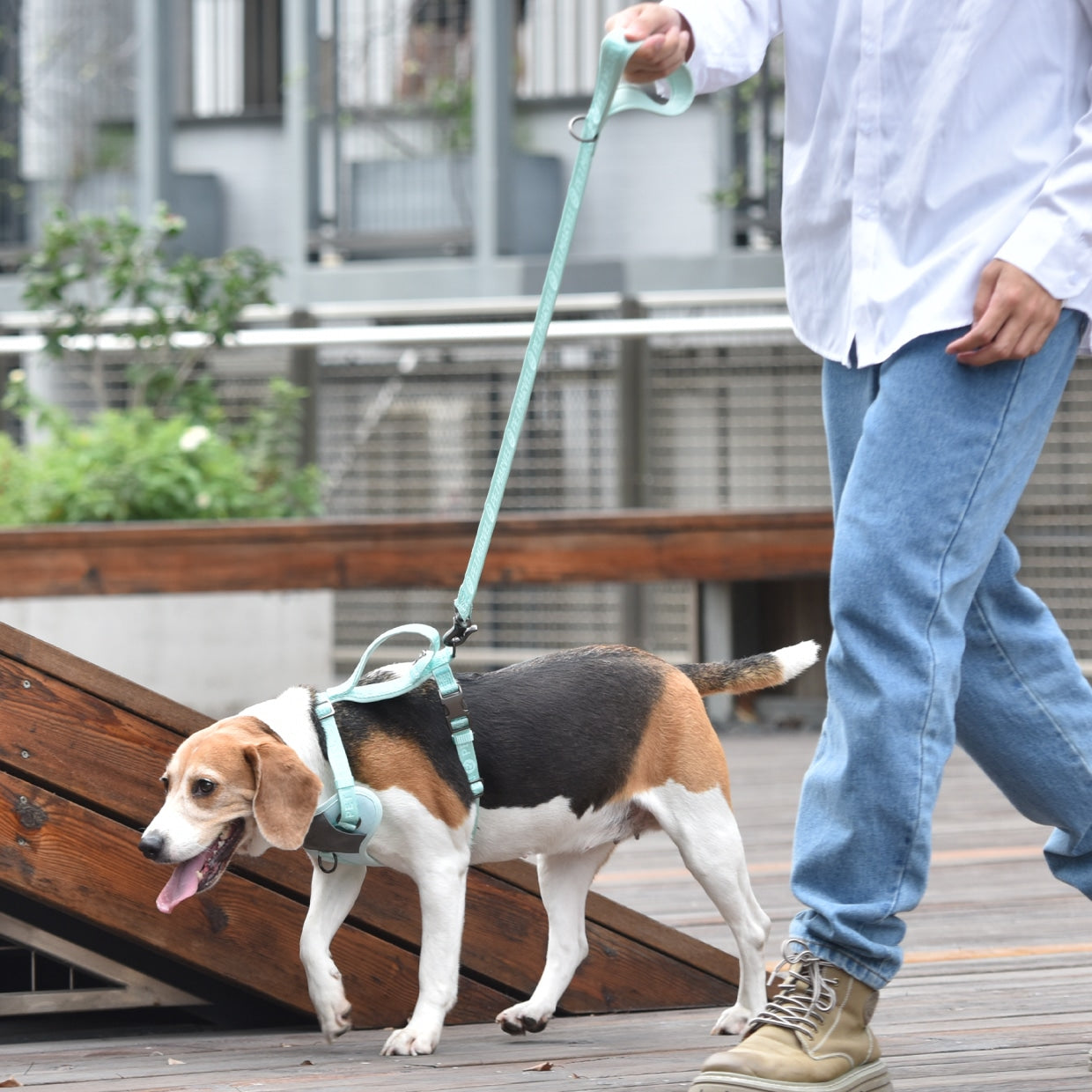 KFX-4179517 Adjustable Neoprene Padded Handle 4 FT Dog Leash for Stylish Daily Walks