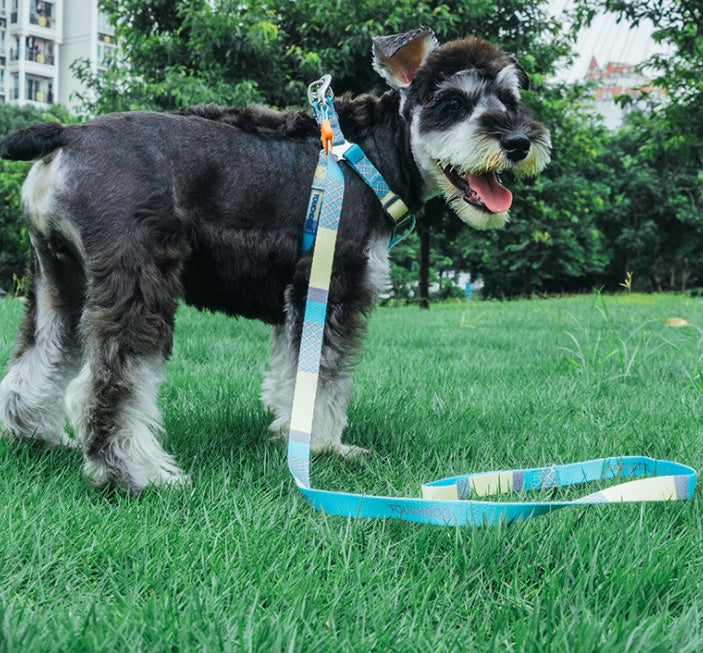 KFX-4183613 Nylon Heat Transfer Dog Harness with Leash and Chest Back Collar for Outdoor Walking