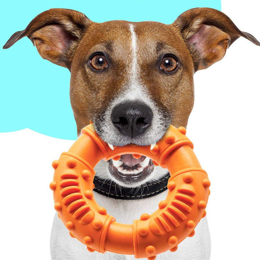 KFX-4185277 Interactive Bouncy Fetch Stick Toy for Dogs - Lightweight, Floatable Chewy Toy for Catching and Fetching