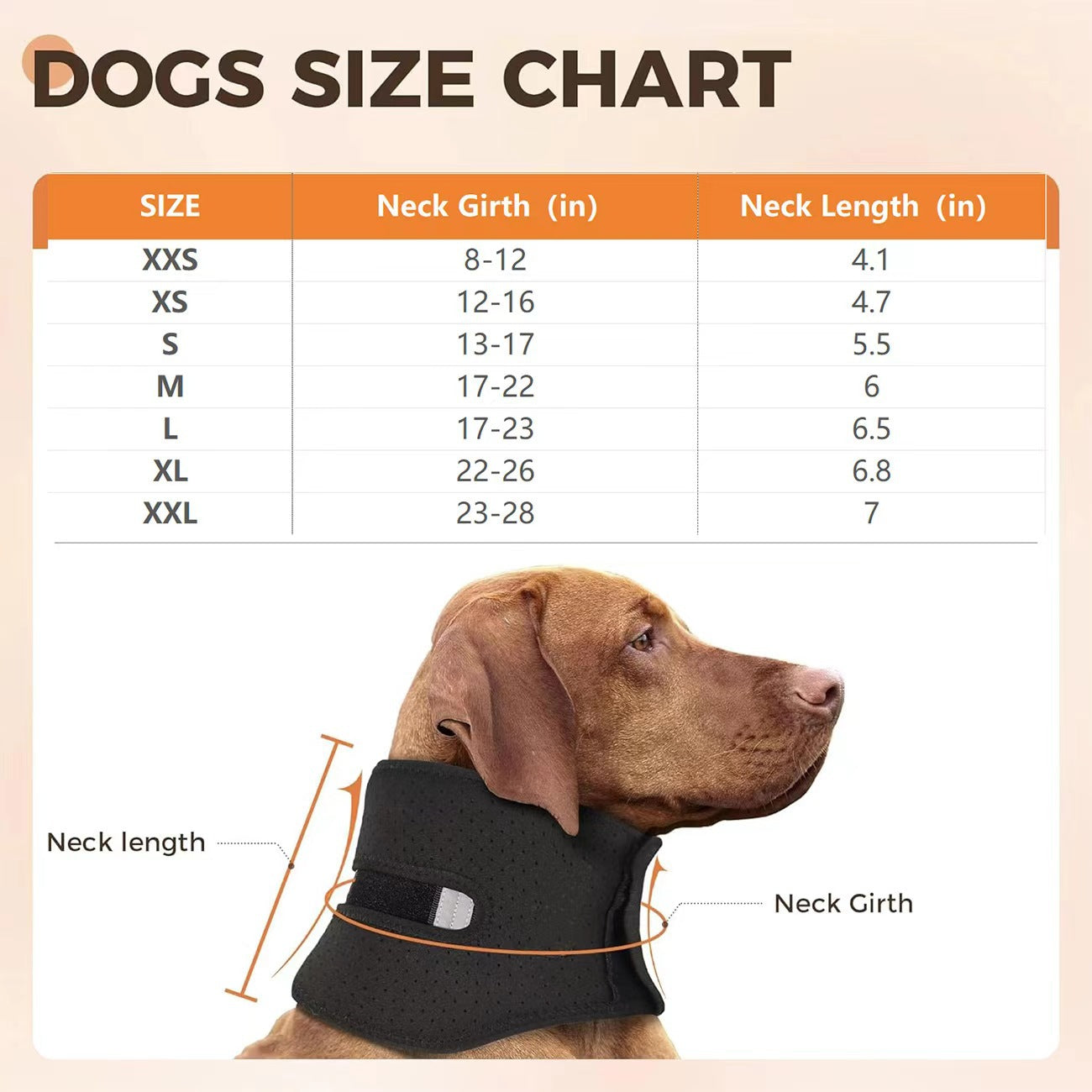 KFX-4185789 Cervical Support Neck Brace for Dogs – Breathable Fabric with Reflective Safety Strips, Multi-Size Options for Recovery