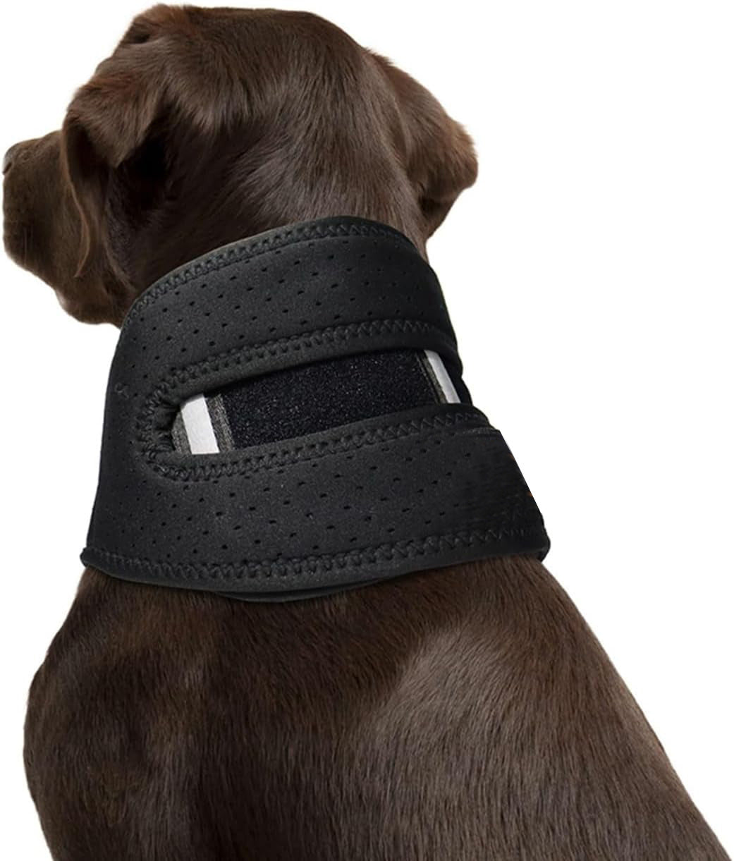 KFX-4185789 Cervical Support Neck Brace for Dogs – Breathable Fabric with Reflective Safety Strips, Multi-Size Options for Recovery