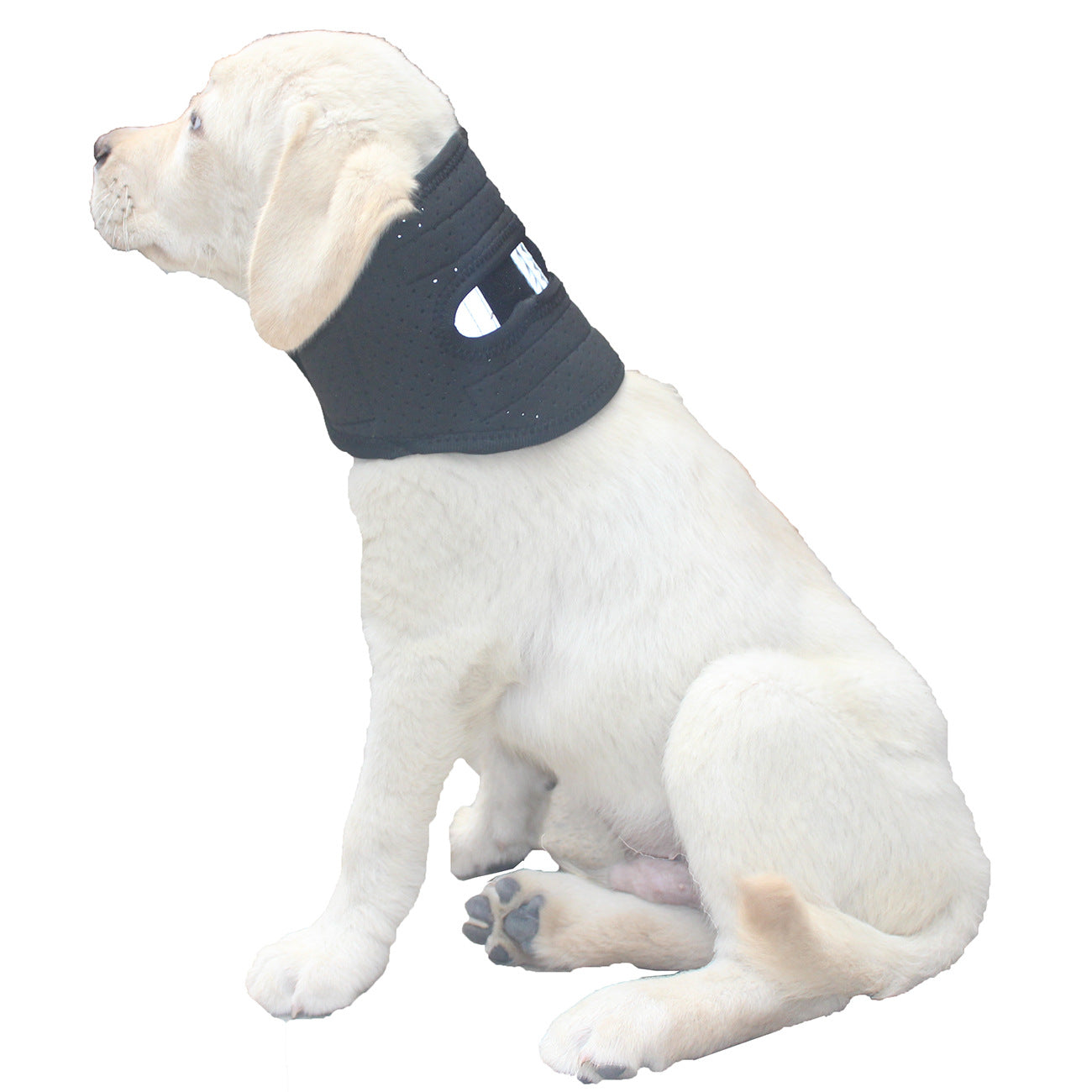 KFX-4185789 Cervical Support Neck Brace for Dogs – Breathable Fabric with Reflective Safety Strips, Multi-Size Options for Recovery
