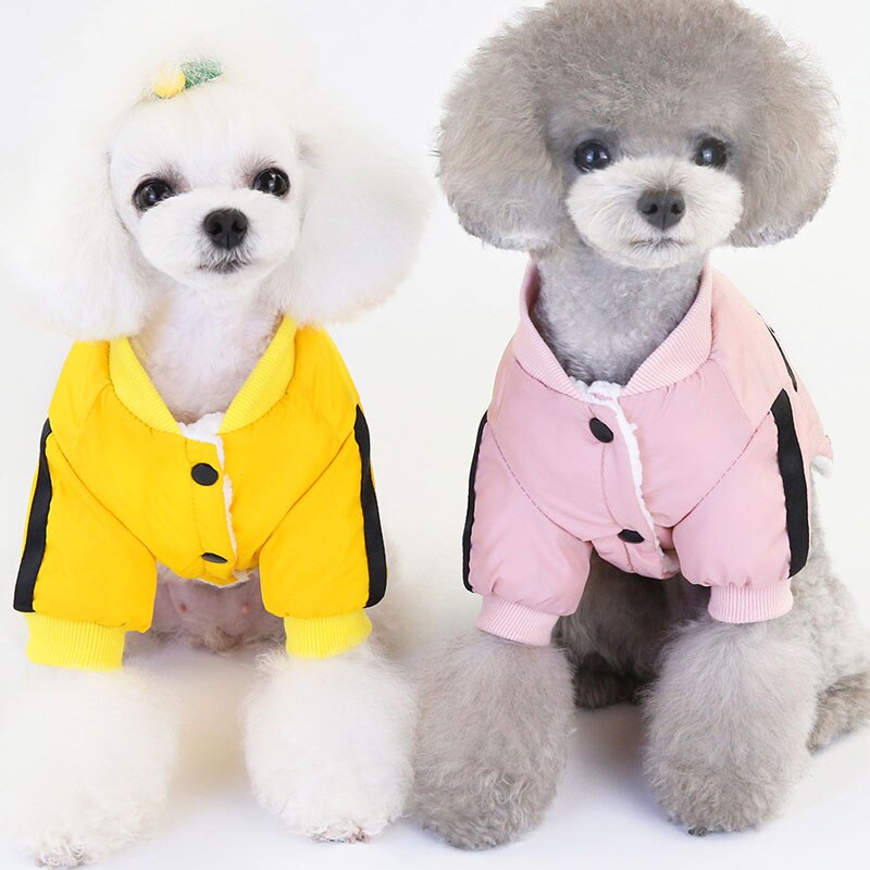 KFX-4197693 Stylish Windproof Two-Legged Pet Clothes for Comfort and Warmth