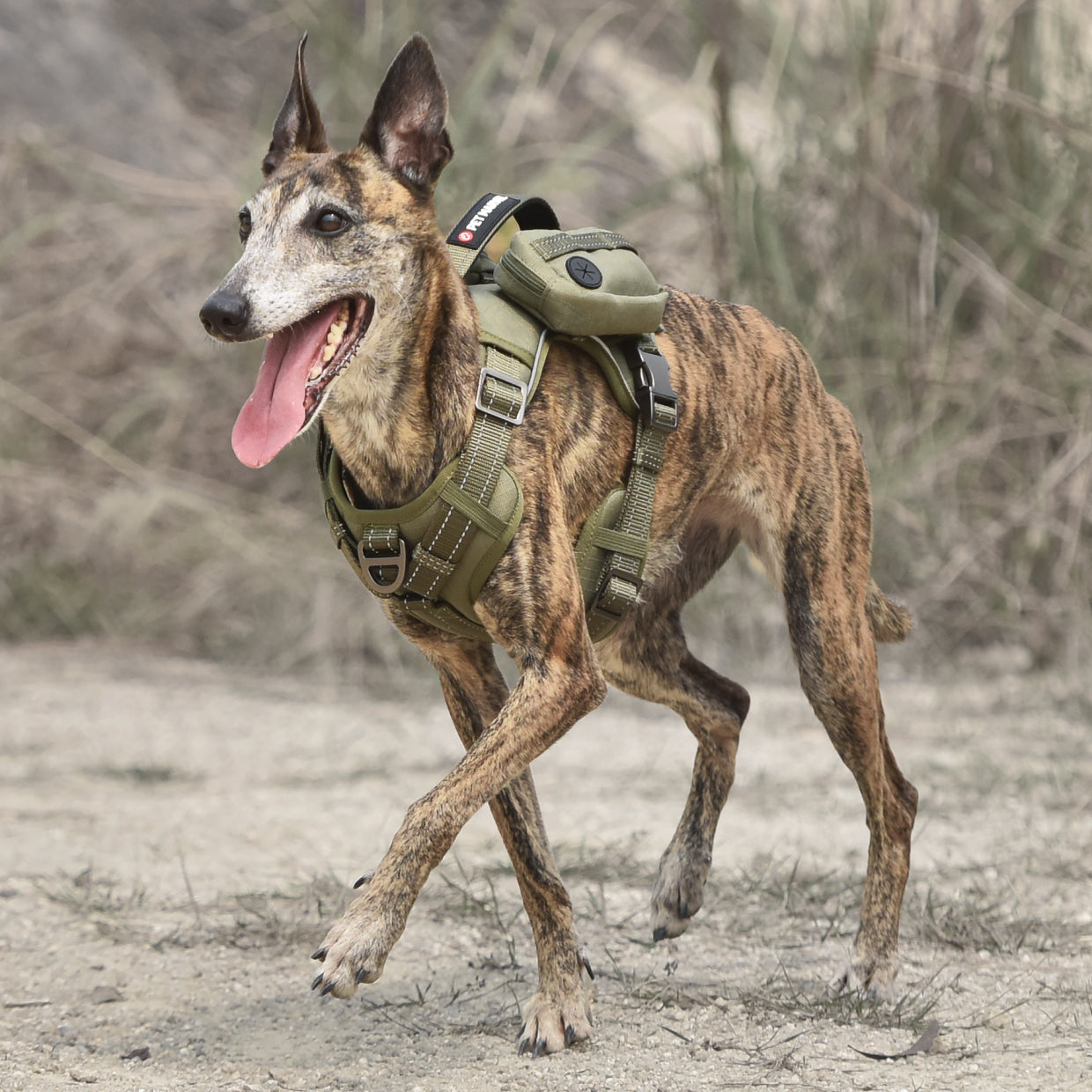 KFX-4212285 Tactical Dog Harness with Backpack, No Pull Front Clip, Adjustable Metal Buckles and Removable Side Pockets