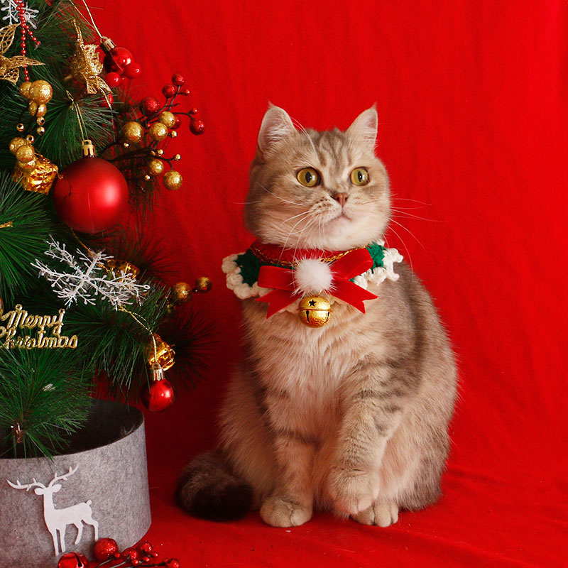 KFX-4218557 Festive Cat Collar Scarf with Pompom Bell and Lace in Gift Box