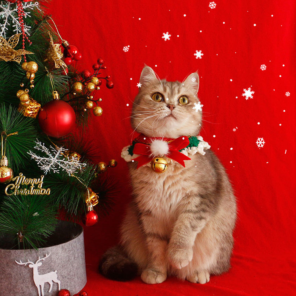KFX-4218557 Festive Cat Collar Scarf with Pompom Bell and Lace in Gift Box
