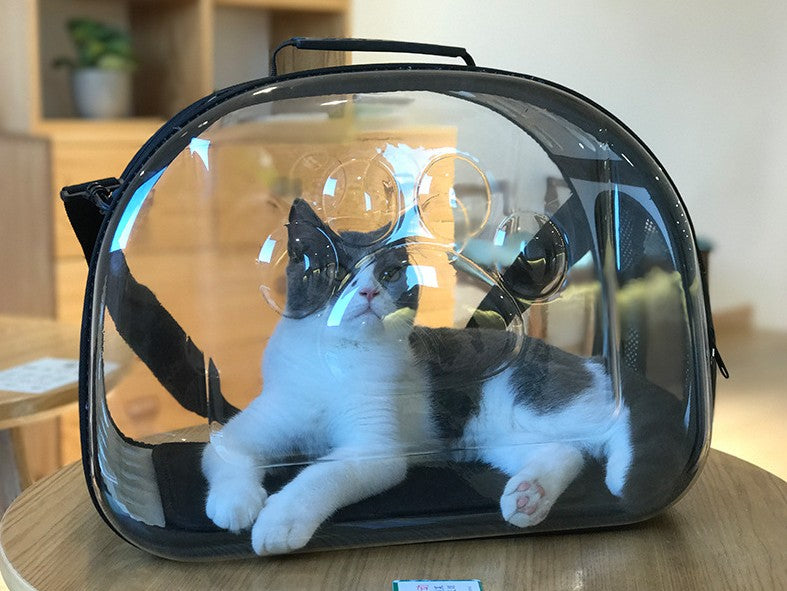 KFX-4218813 Foldable Transparent Pet Handbag for Small Dogs and Cats, Waterproof EVA Material, Lightweight Design