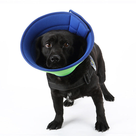 KFX-4224317 Transparent Anti-Bite Recovery Collar for Pets in Multiple Colors and Sizes