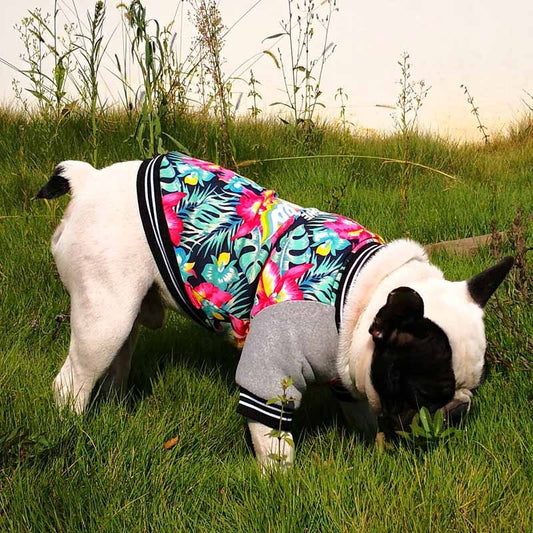KFX-4226493 Stretch Printed Two-Legged Dog Clothes in Cotton and Fleece, Various Sizes XS-XXL
