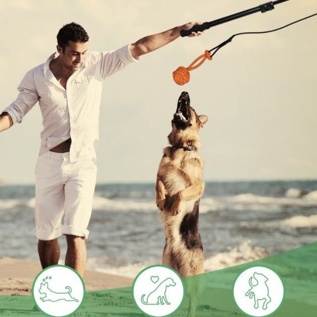 KFX-4227133 Retractable Dog Training Stick with Non-Slip Handle and Replaceable Toys