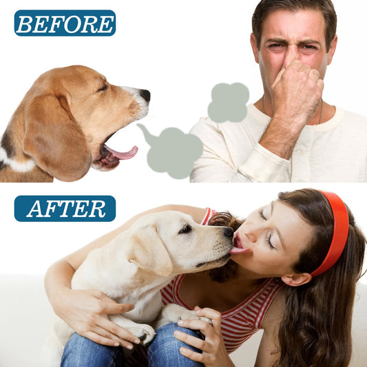 KFX-4229949 Pet Oral Cleaning Spray for Tartar Control and Fresh Breath, 59ml