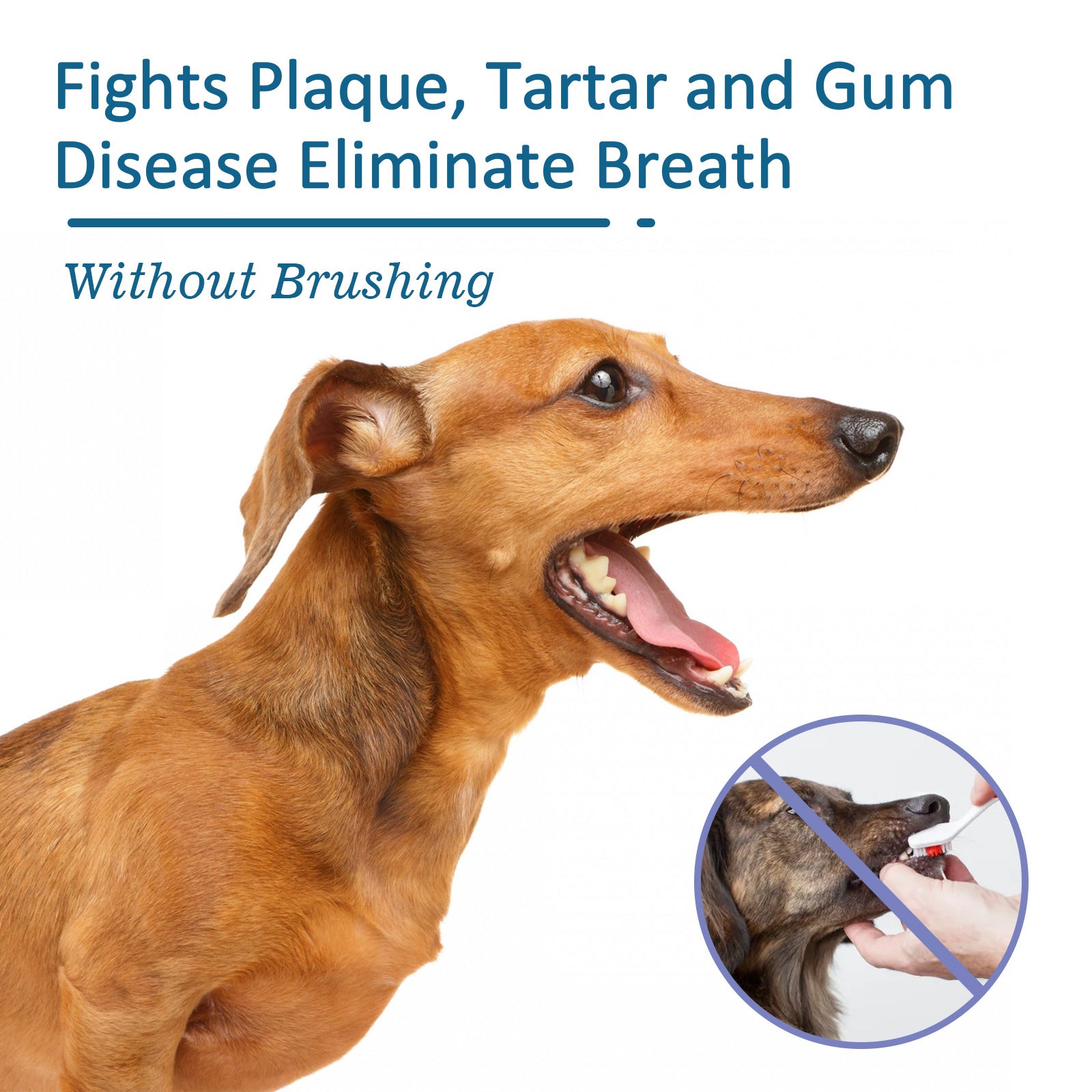 KFX-4229949 Pet Oral Cleaning Spray for Tartar Control and Fresh Breath, 59ml