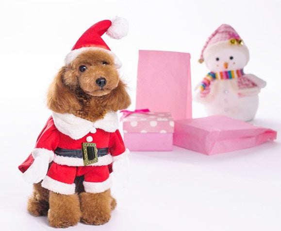 KFX-4233149 Festive Dog Sweatshirt with Hat - Christmas Apparel in Red and Green, Available in Multiple Sizes