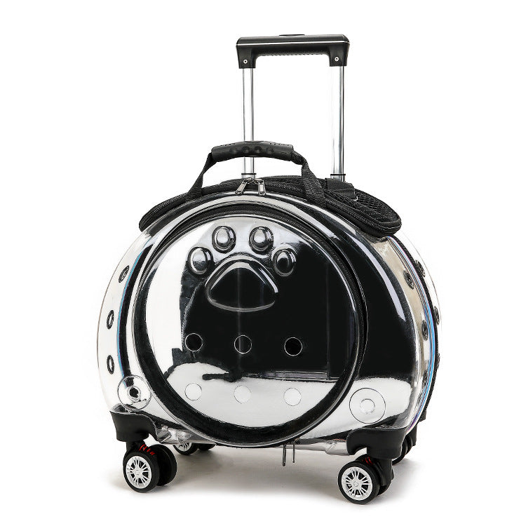 KFX-4234301 Portable Transparent Pet Trolley Bag for Small Pets – Medium Hard Diaper Carrier in Various Colors