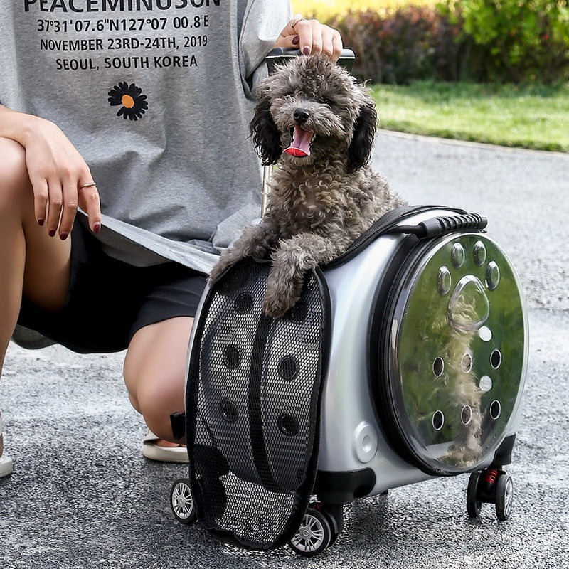 KFX-4234301 Portable Transparent Pet Trolley Bag for Small Pets – Medium Hard Diaper Carrier in Various Colors