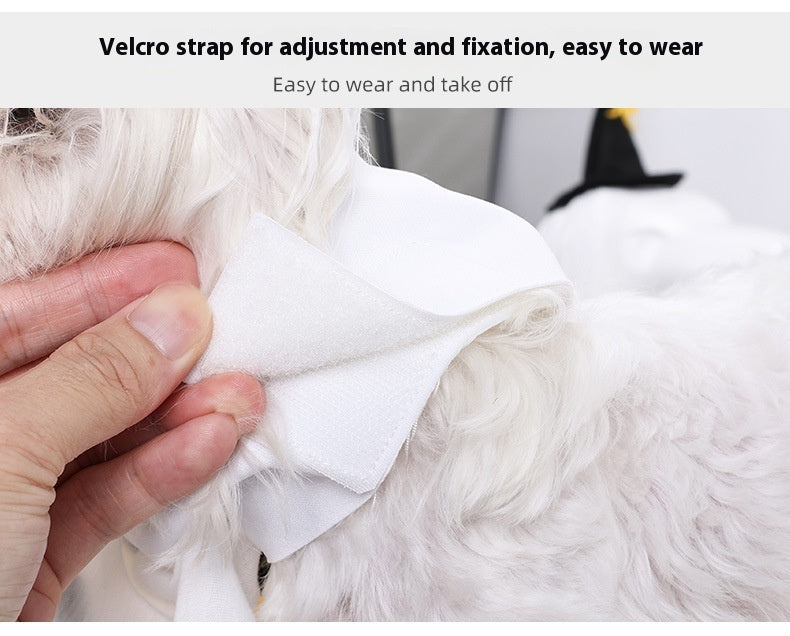 KFX-4238397 Funny Ghost Pumpkin Costume for Dogs – Casual Pet Clothing in White, Sizes S, M, L