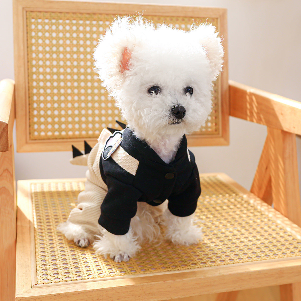 KFX-4244157 Casual Khaki Cartoon Dog Suspender Trousers in Various Sizes