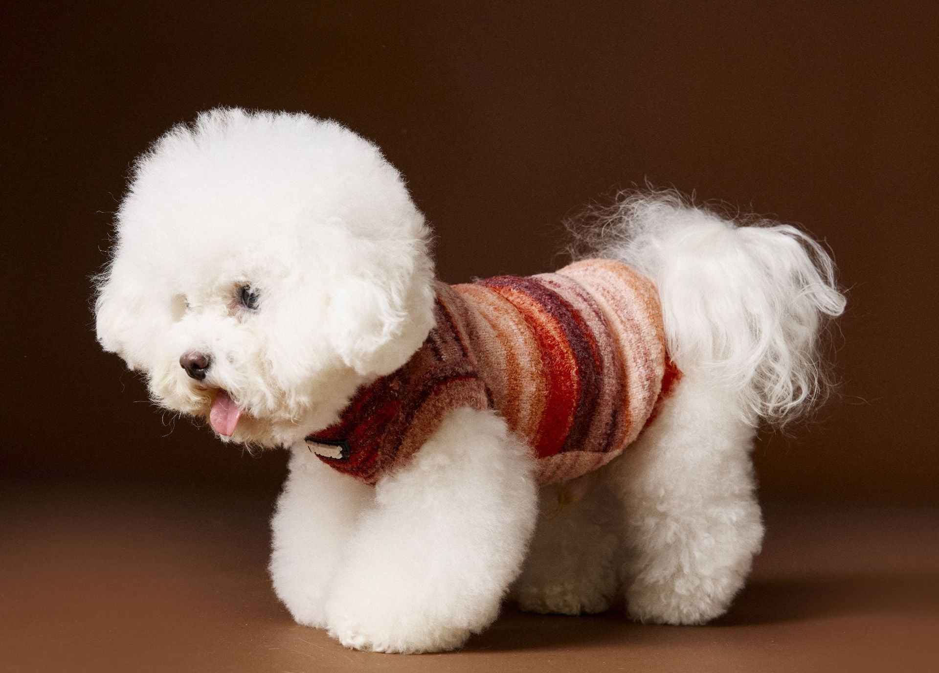 KFX-4253885 Rainbow Striped Sleeveless Sweater Vest for Dogs - Casual Pet Clothing in Blue and Red, Sizes XS to XXL