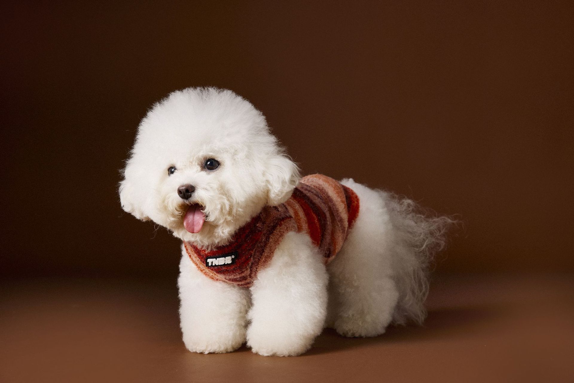 KFX-4253885 Rainbow Striped Sleeveless Sweater Vest for Dogs - Casual Pet Clothing in Blue and Red, Sizes XS to XXL