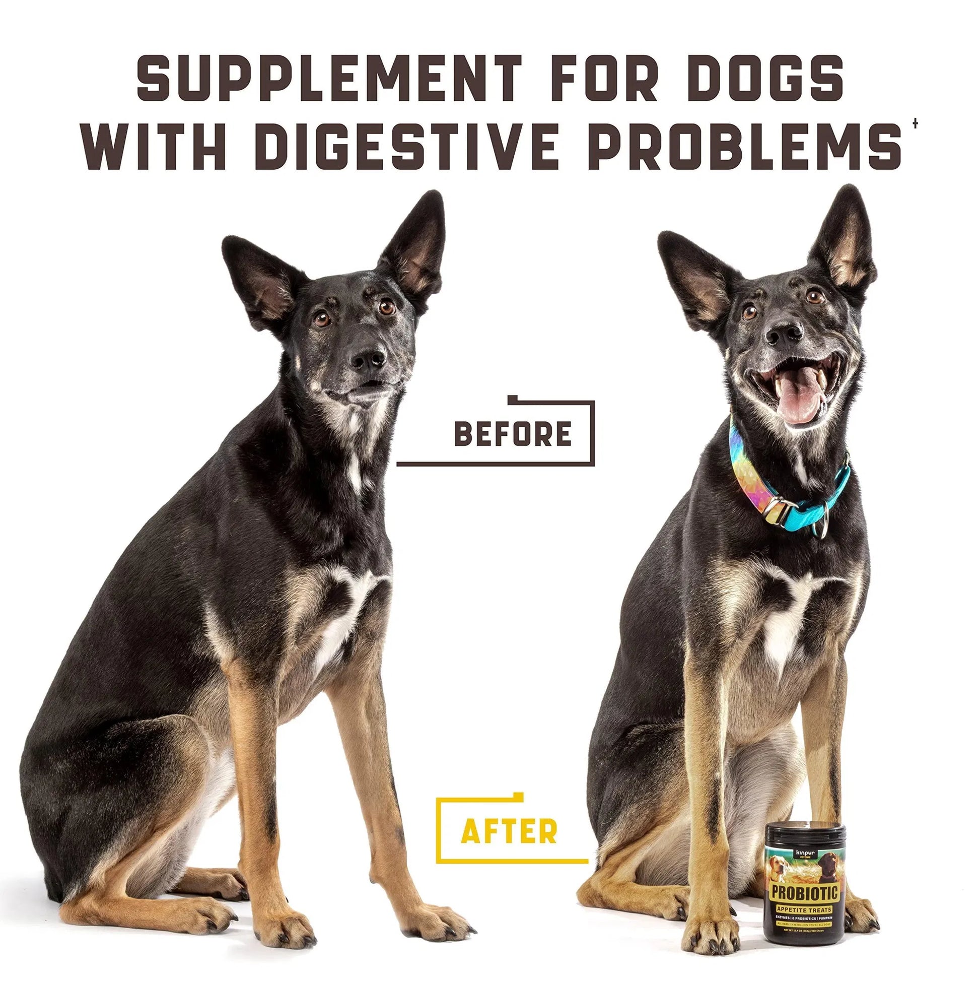 KFX-4255165 Dog Probiotics Chews for Gut Health, Itchy Skin Relief, Digestive Support & Immune Boost - Duck Flavor, 180 Chews