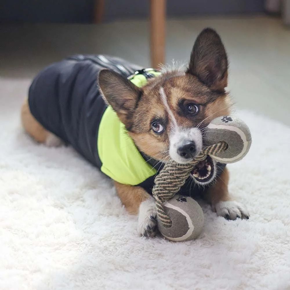 KFX-4257725 Durable Cotton Rope Knot Toy for Medium and Large Dogs - Interactive Chewing Toy