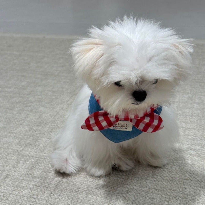 KFX-4260669 Cute Western Denim Bow Scarf for Pets - Ideal for Spring and Autumn