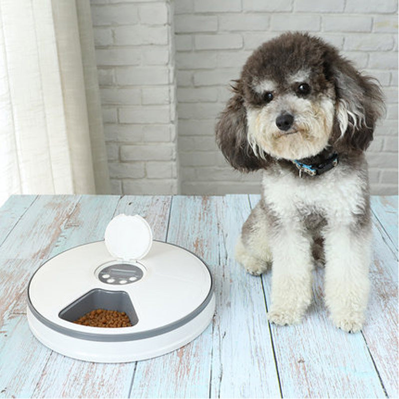 KFX-4261053 Automatic Pet Feeder for Cats and Dogs, 6 Compartments with Power Indicator, Battery Operated