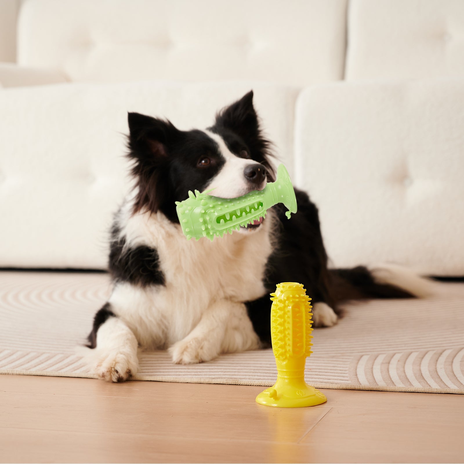 KFX-4262333 Interactive Squeaky Dog Balls - 4 Pack Teething Chew Toys for Teeth Cleaning and Training Small Dogs