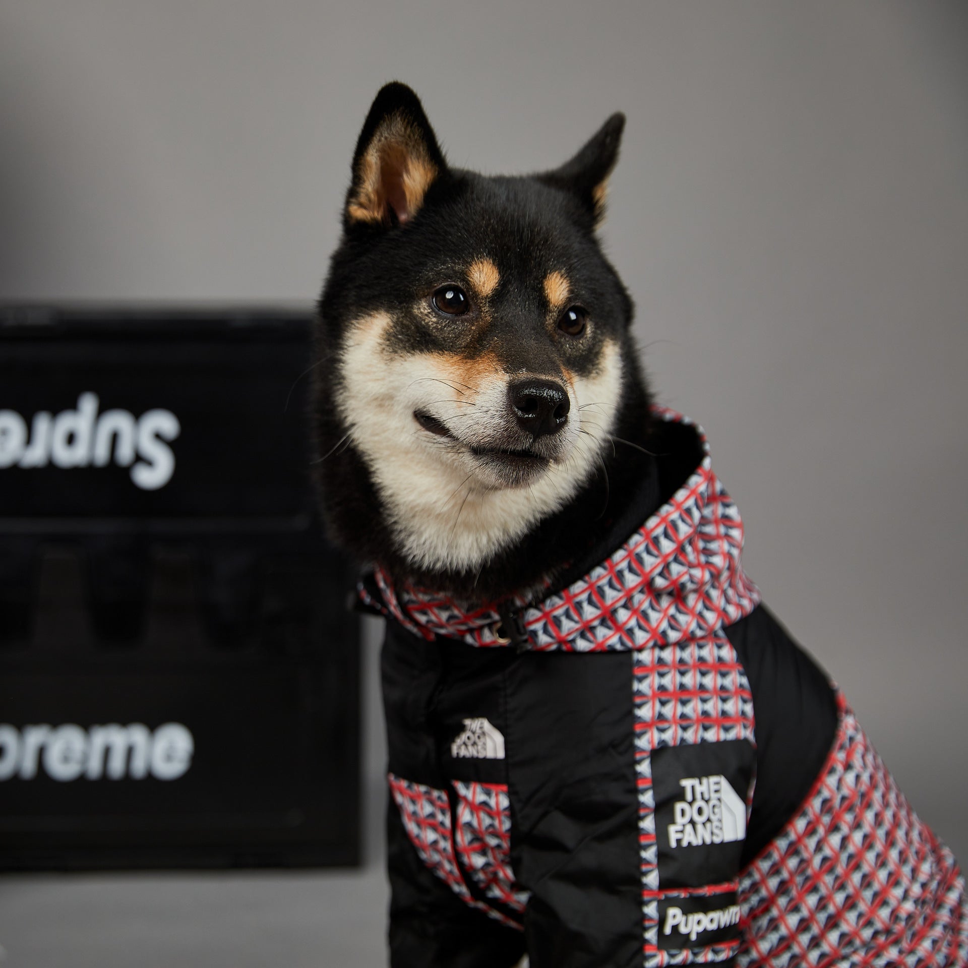 KFX-4262461 Windproof and Rainproof Dog Raincoat Shell Jacket in Black, Blue, and Red Rivet - Available in Sizes Small to 5XL