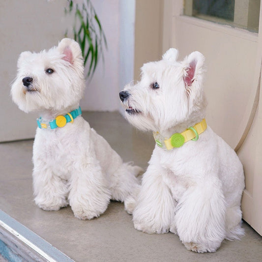 KFX-4262845 Durable Nylon Dog Collar and Hand-Holding Rope in Multiple Colors