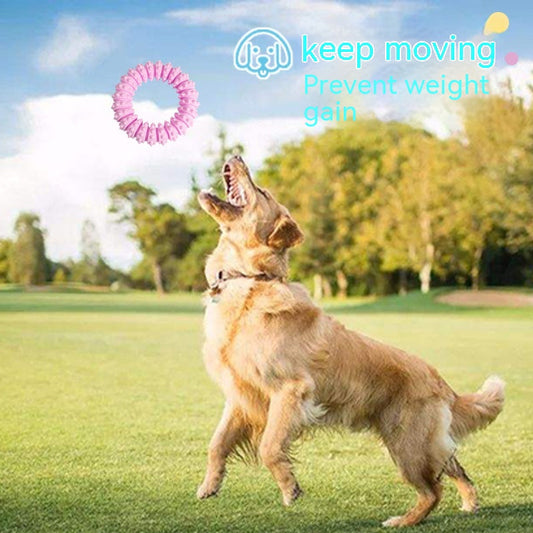KFX-4263485 Pet Foam Anti-Bite Molar Chew Ring Toy – Fun for Dogs and Cats in Blue, Pink, and Yellow