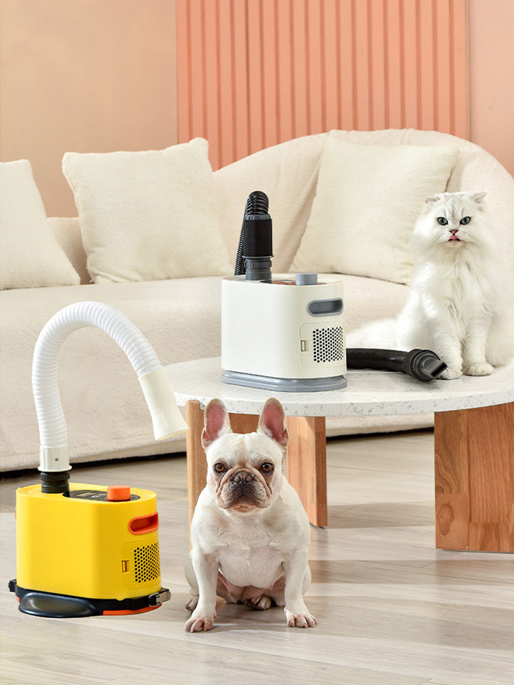 KFX-4272189 Powerful 2000W Dog Blower for Efficient Bathing and Drying - Model PKY-21G01
