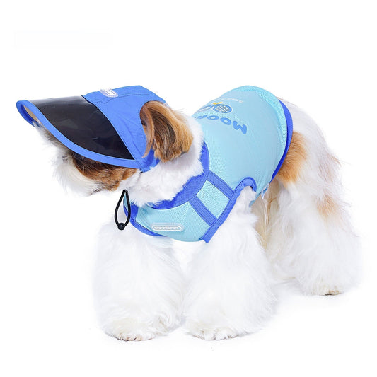 KFX-4280893 Blue Nylon Dog Hat for Small Dogs - Casual Style for Spring and Autumn