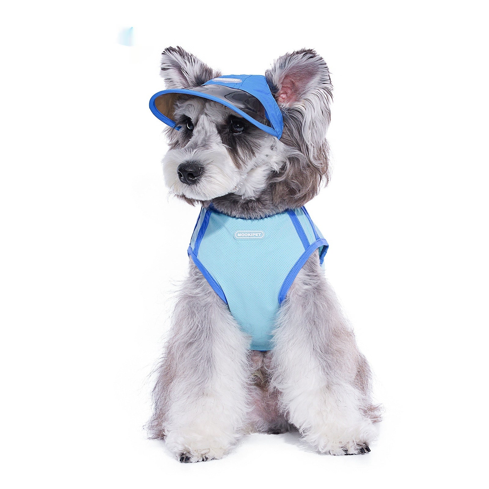 KFX-4280893 Blue Nylon Dog Hat for Small Dogs - Casual Style for Spring and Autumn