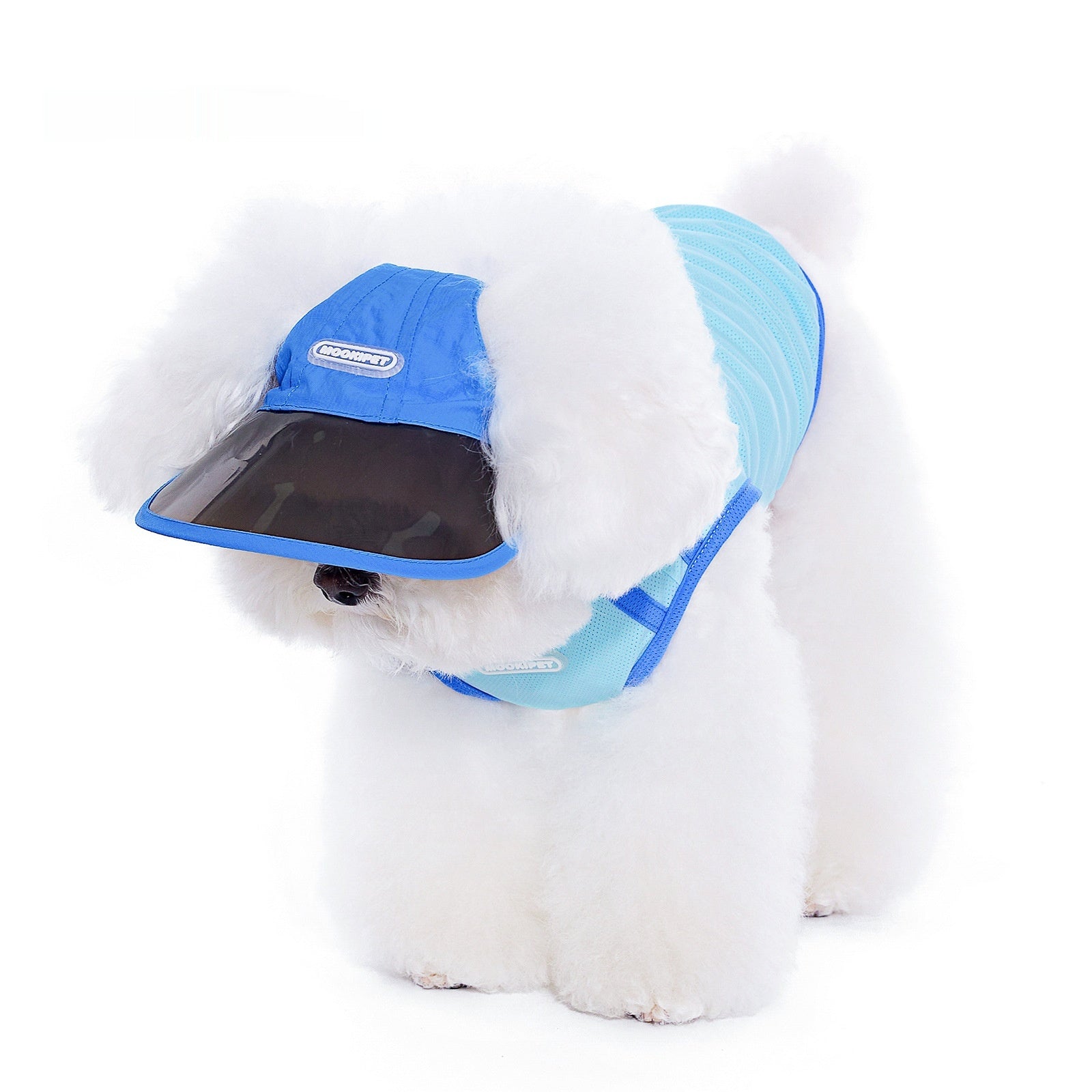 KFX-4280893 Blue Nylon Dog Hat for Small Dogs - Casual Style for Spring and Autumn