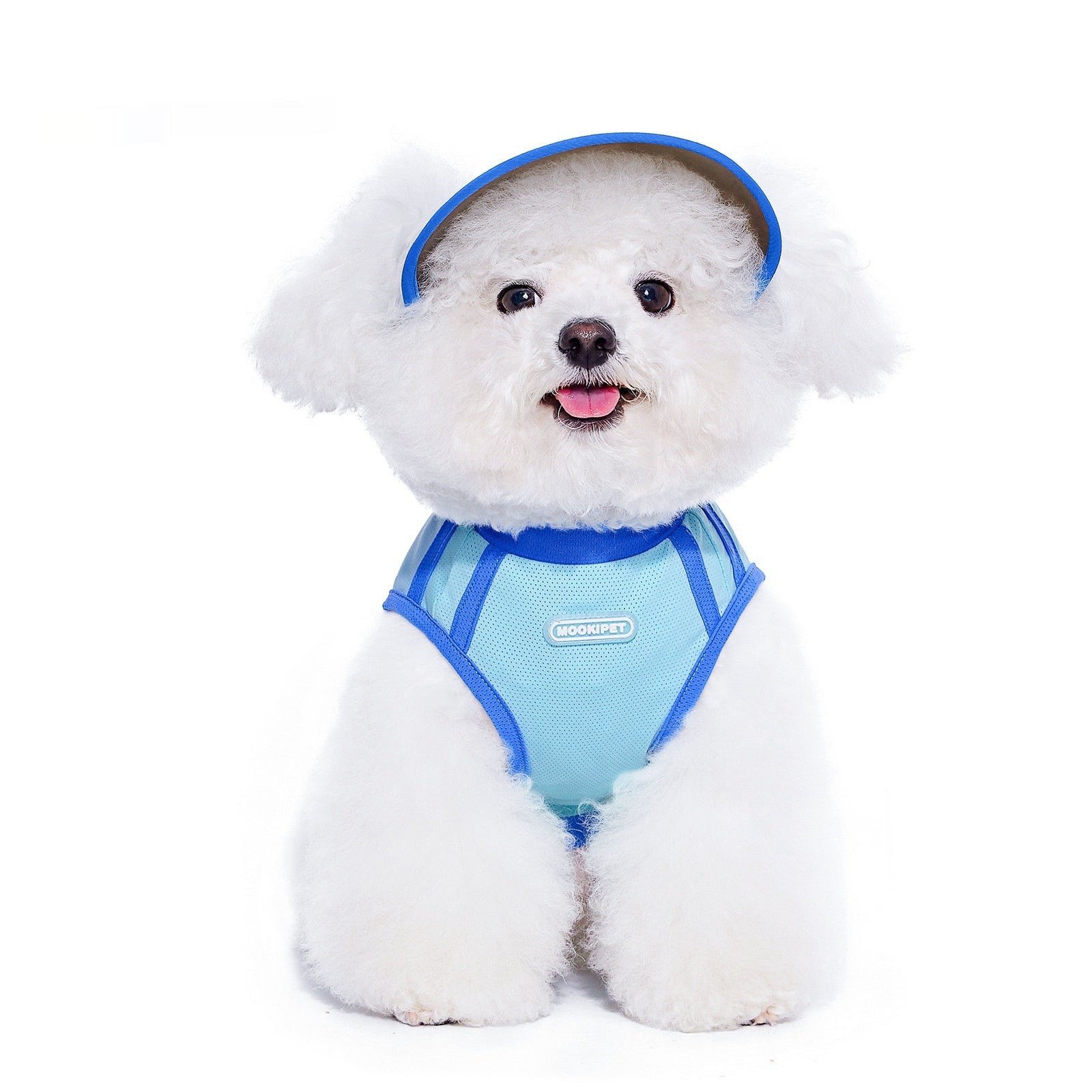 KFX-4280893 Blue Nylon Dog Hat for Small Dogs - Casual Style for Spring and Autumn