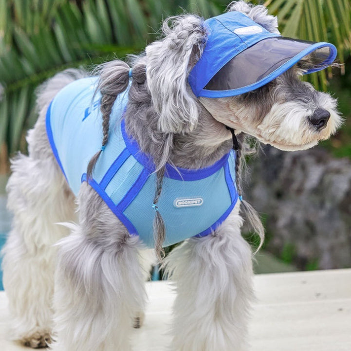 KFX-4280893 Blue Nylon Dog Hat for Small Dogs - Casual Style for Spring and Autumn