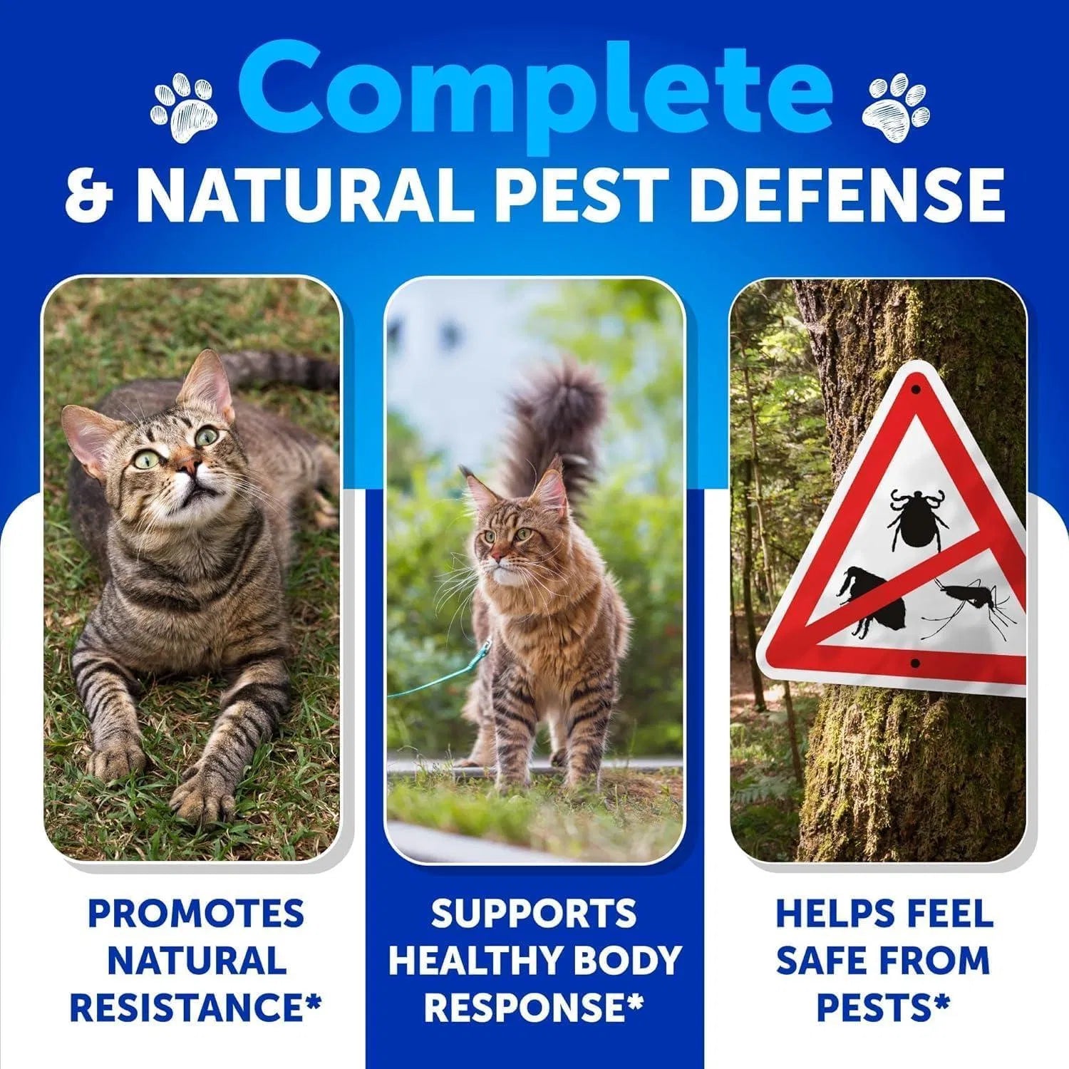 KFX-4287933 Natural Flea and Tick Prevention Chewable Supplement for Cats and Kittens, 135 Soft Chews with Vitamins for Skin, Coat, and Digestion