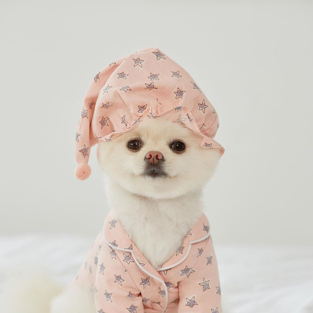 KFX-4294205 Cozy Cotton Dog Pajama Set with Hat in Blue Star and Pink Star Designs