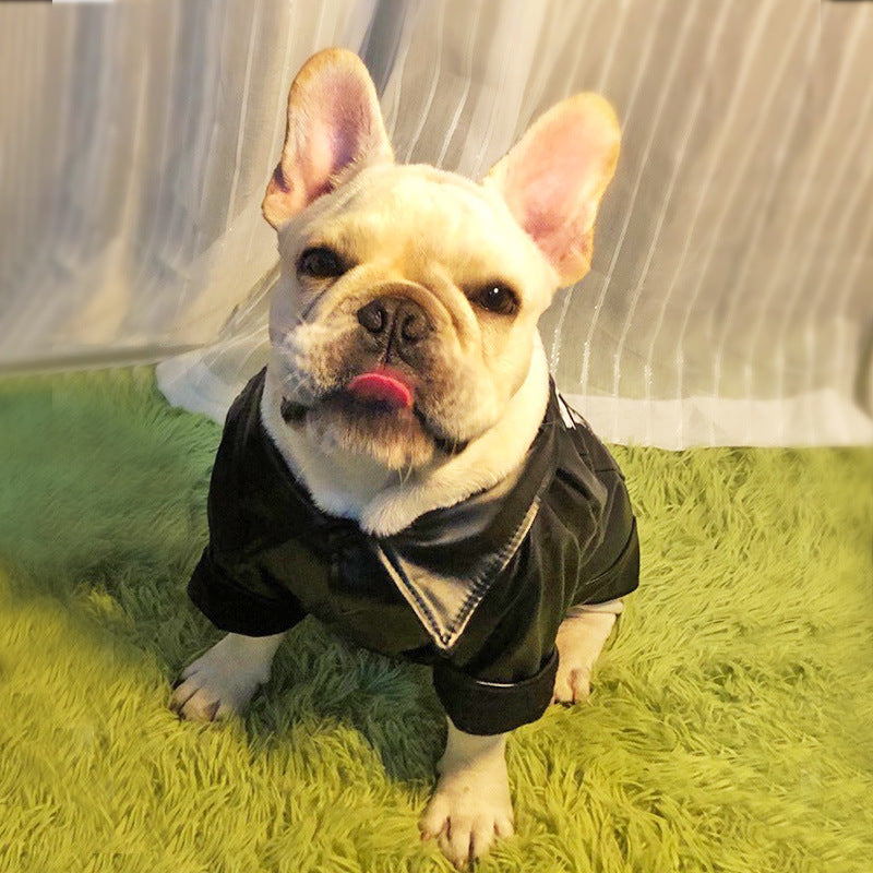 KFX-4295997 Warm Plush Velvet Dog Outfit with PU Leather for Cold Weather Wear