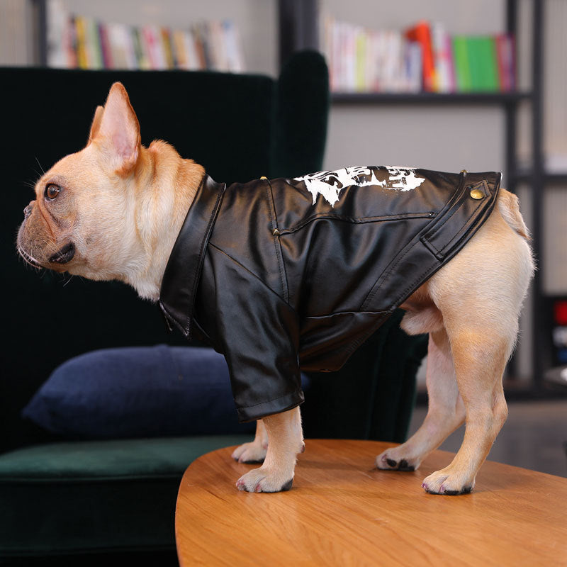 KFX-4295997 Warm Plush Velvet Dog Outfit with PU Leather for Cold Weather Wear