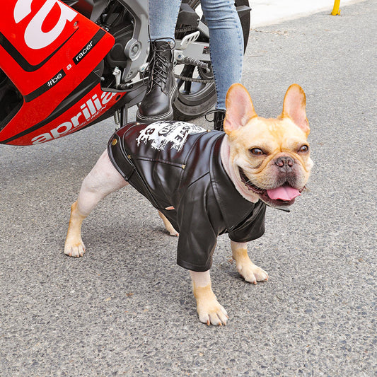KFX-4295997 Warm Plush Velvet Dog Outfit with PU Leather for Cold Weather Wear