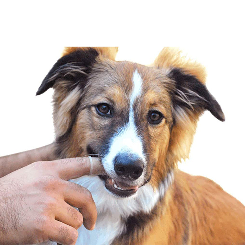 KFX-4301245 Soft Silicone Pet Finger Toothbrush for Effective Stain Removal and Gum Care with Case