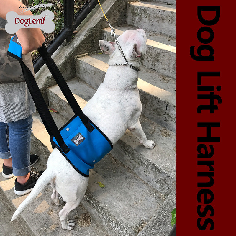 KFX-4302653 Dog Leg Injury Protection Walking Belt - Oxford Cloth & Mesh - Size S, M, L, XL - Blue & Gray Options
