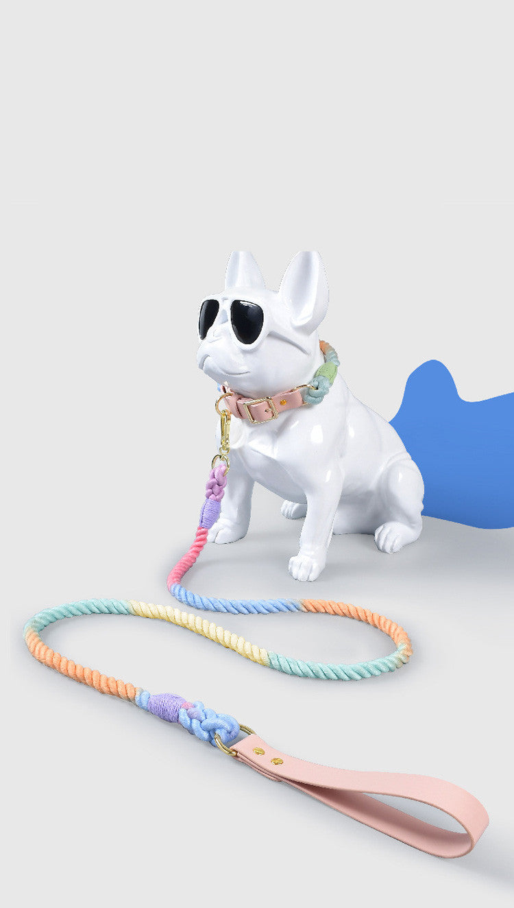 KFX-4303165 Adjustable Rainbow Traction Rope and Collar Set for Medium and Large Dogs