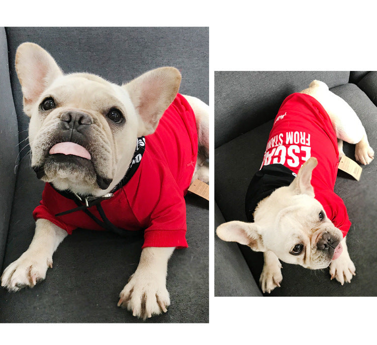 KFX-4309693 Terry Cotton Casual Letter Print Dog Sweater in Black and Red