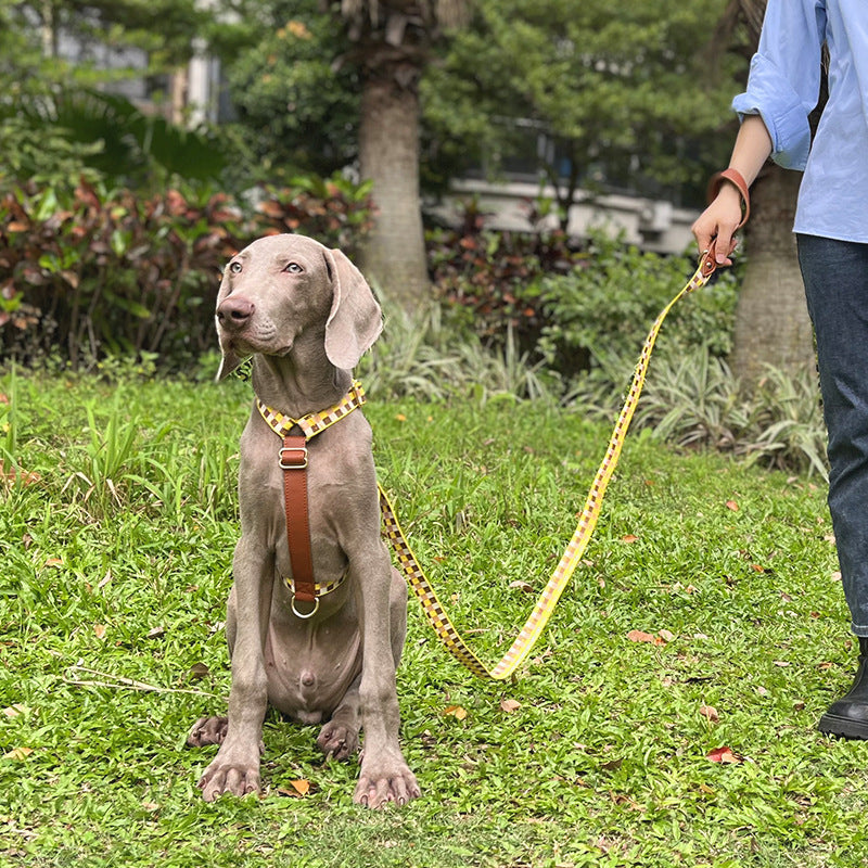 KFX-4310589 I-Shaped Pet Chest Harness with Leash and Collar in Multiple Colors
