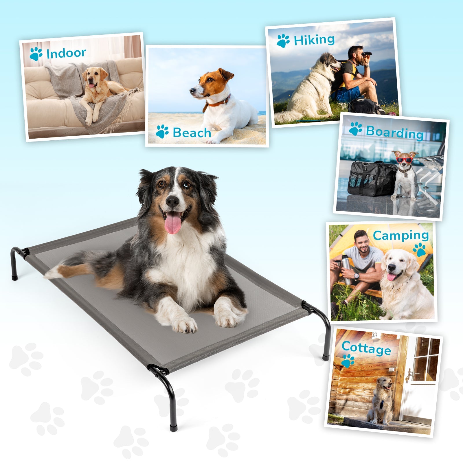 KFX-4313533 Elevated Dog Bed with Durable Textilene Mesh for Comfort and Support