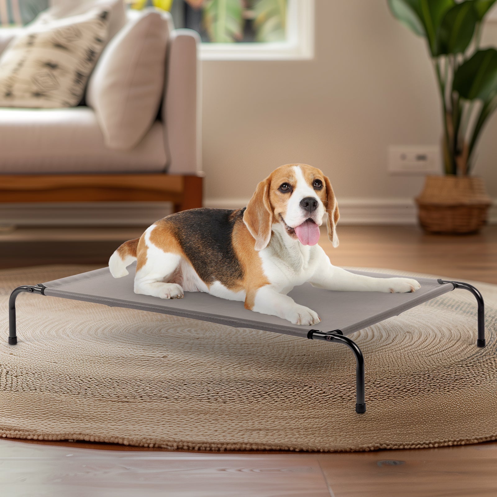 KFX-4313533 Elevated Dog Bed with Durable Textilene Mesh for Comfort and Support