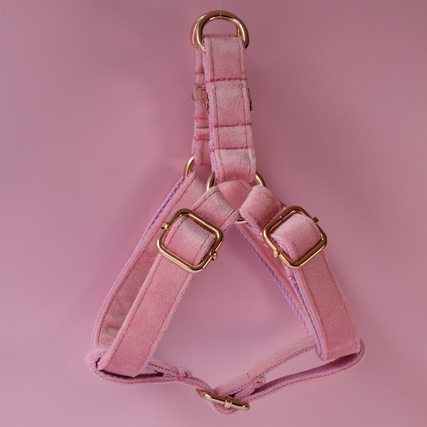 KFX-4314173 Flannel Pet Chest Harness for Dogs with Leash - Adjustable Sizes S to XL